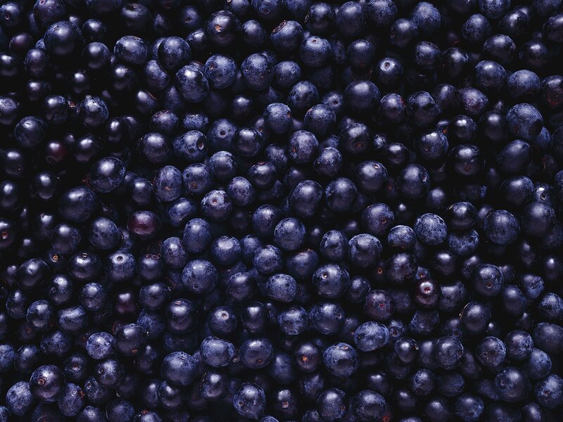 Close-up of Blueberries — Blue, Dark, Photograph, Berries