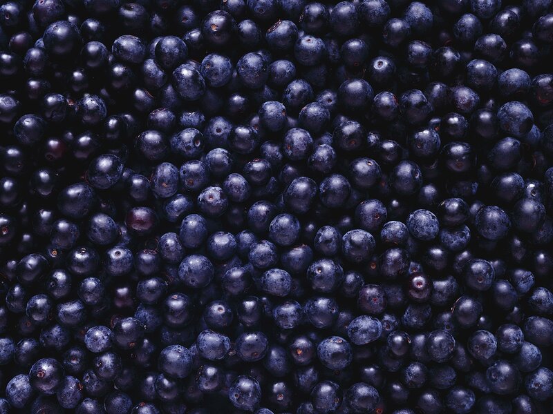 Close-up of Blueberries — Blue, Dark