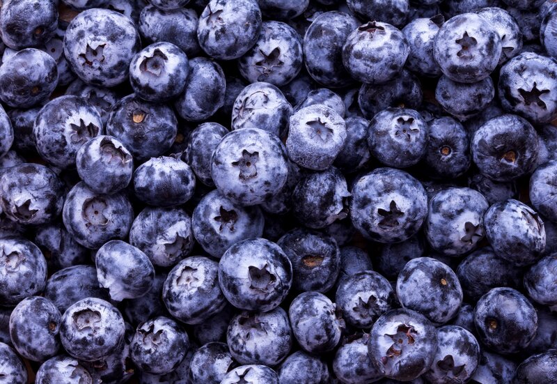 Close-up of Blueberries — Blue, Natural, Photograph, Berries, Frost