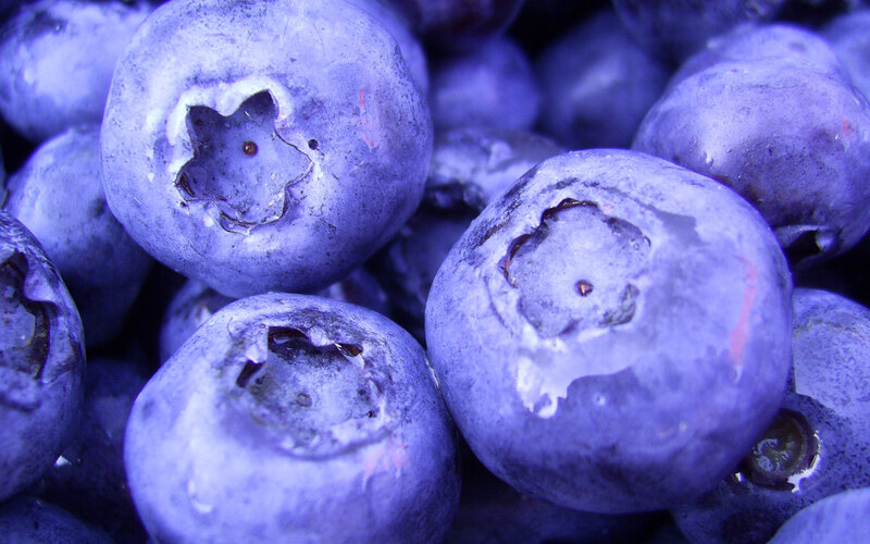 Close-up of Blueberries — Blue, Natural, Photograph, Fruit
