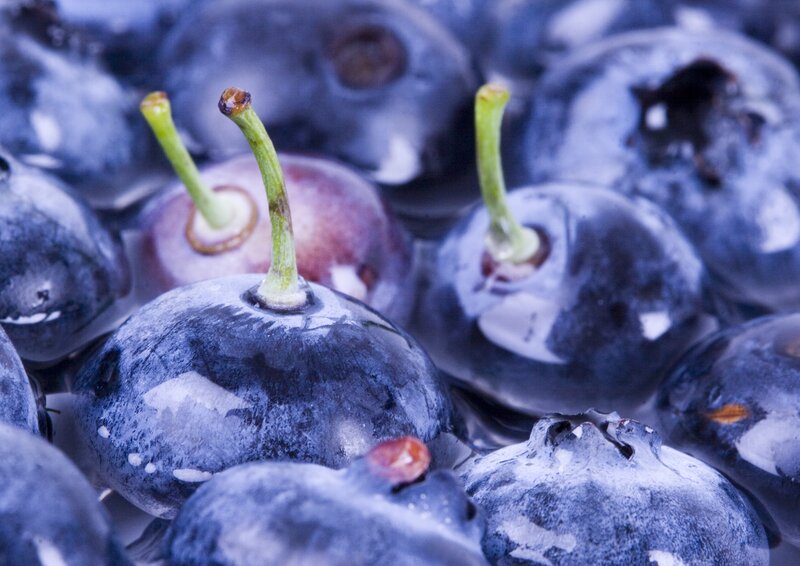 Close-up of Blueberries — Blue, Natural, Photograph, Stems