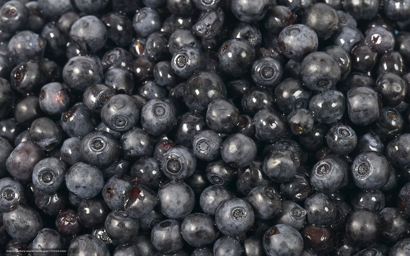 Close-up of Blueberries — Blue, Natural