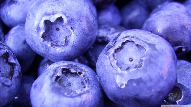 Close-up of Blueberries — Purple