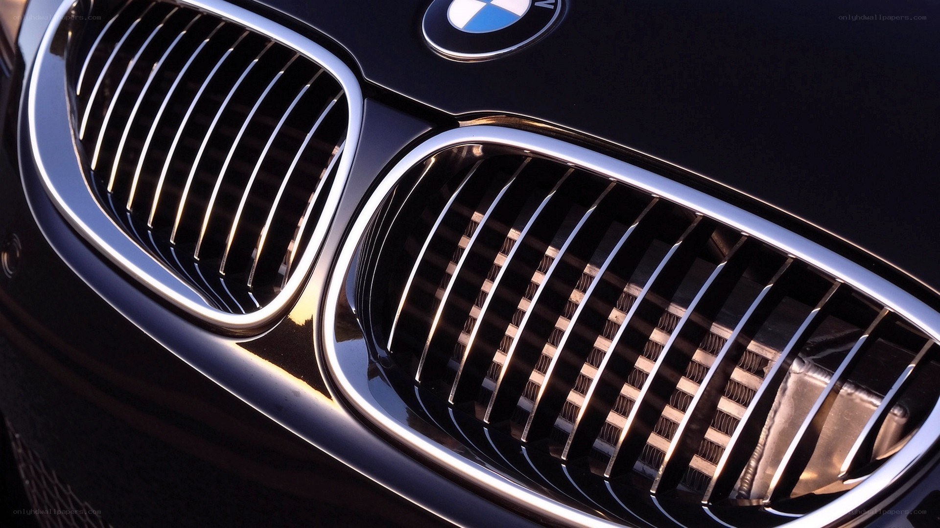 Close-up of BMW grille