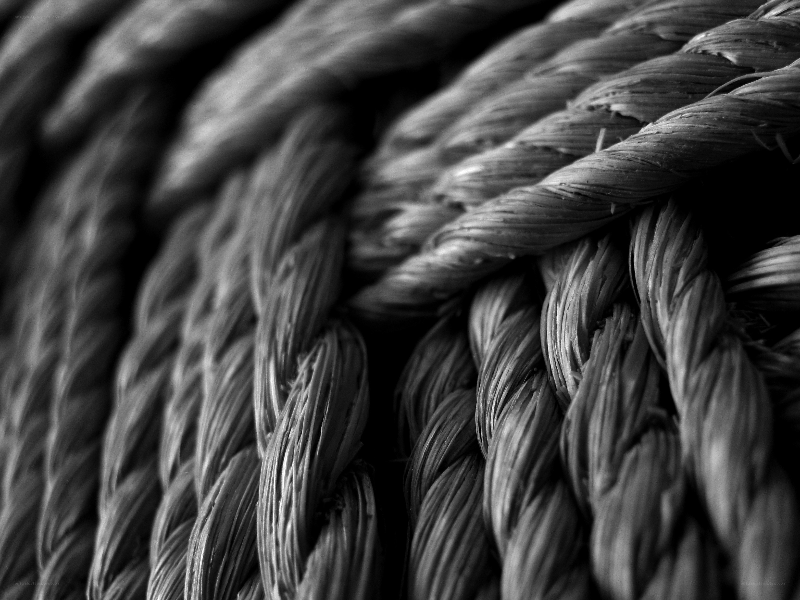 close-up of braided rope