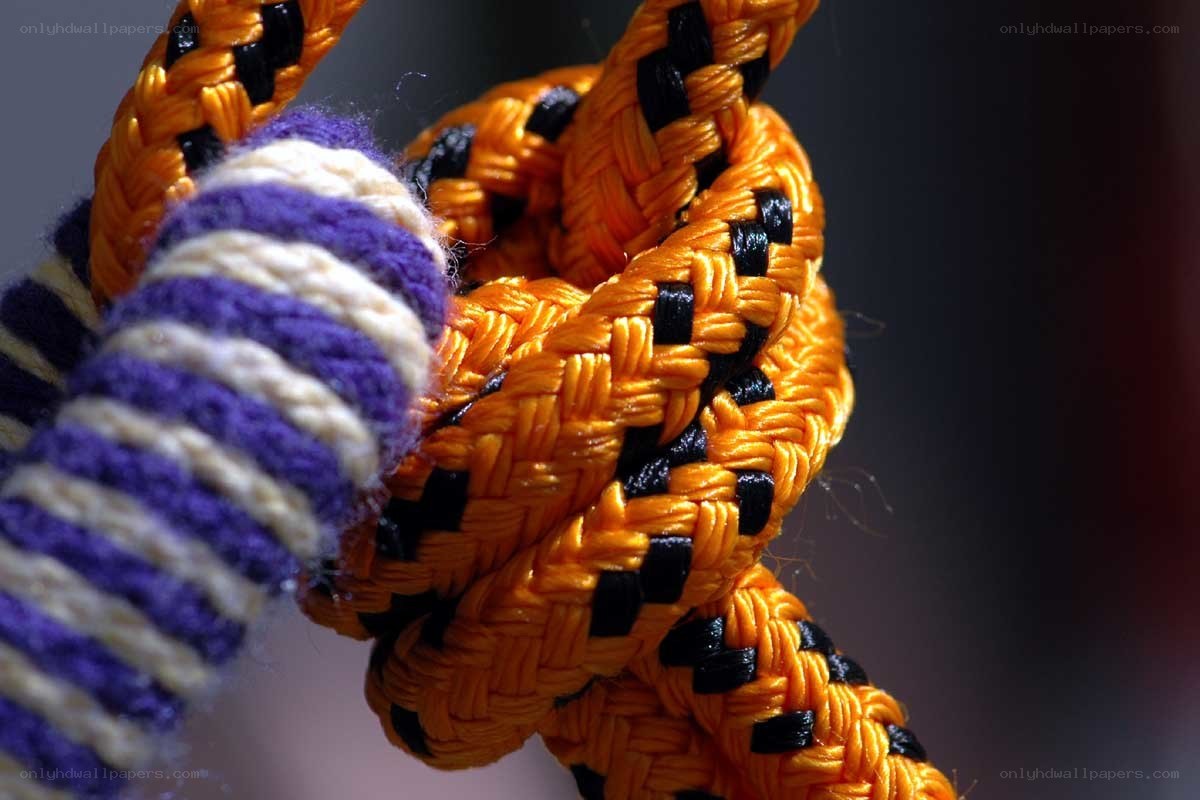 Close-up of braided ropes