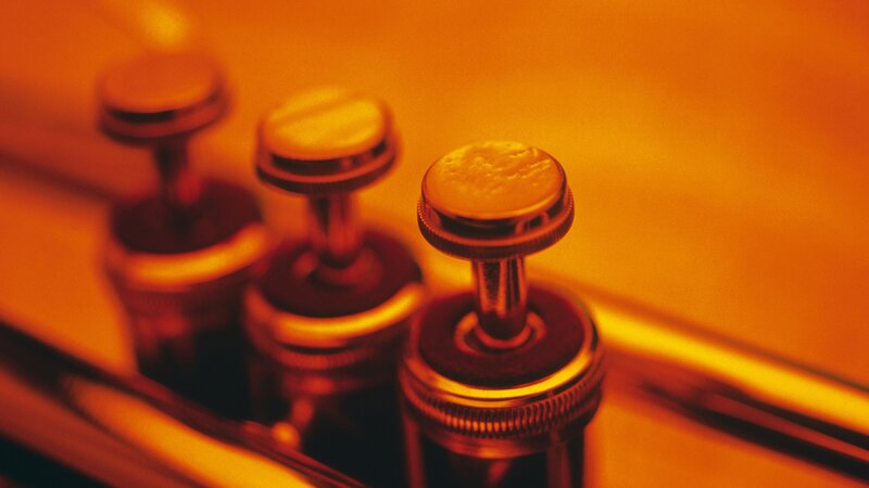 Close-up of brass instrument valves