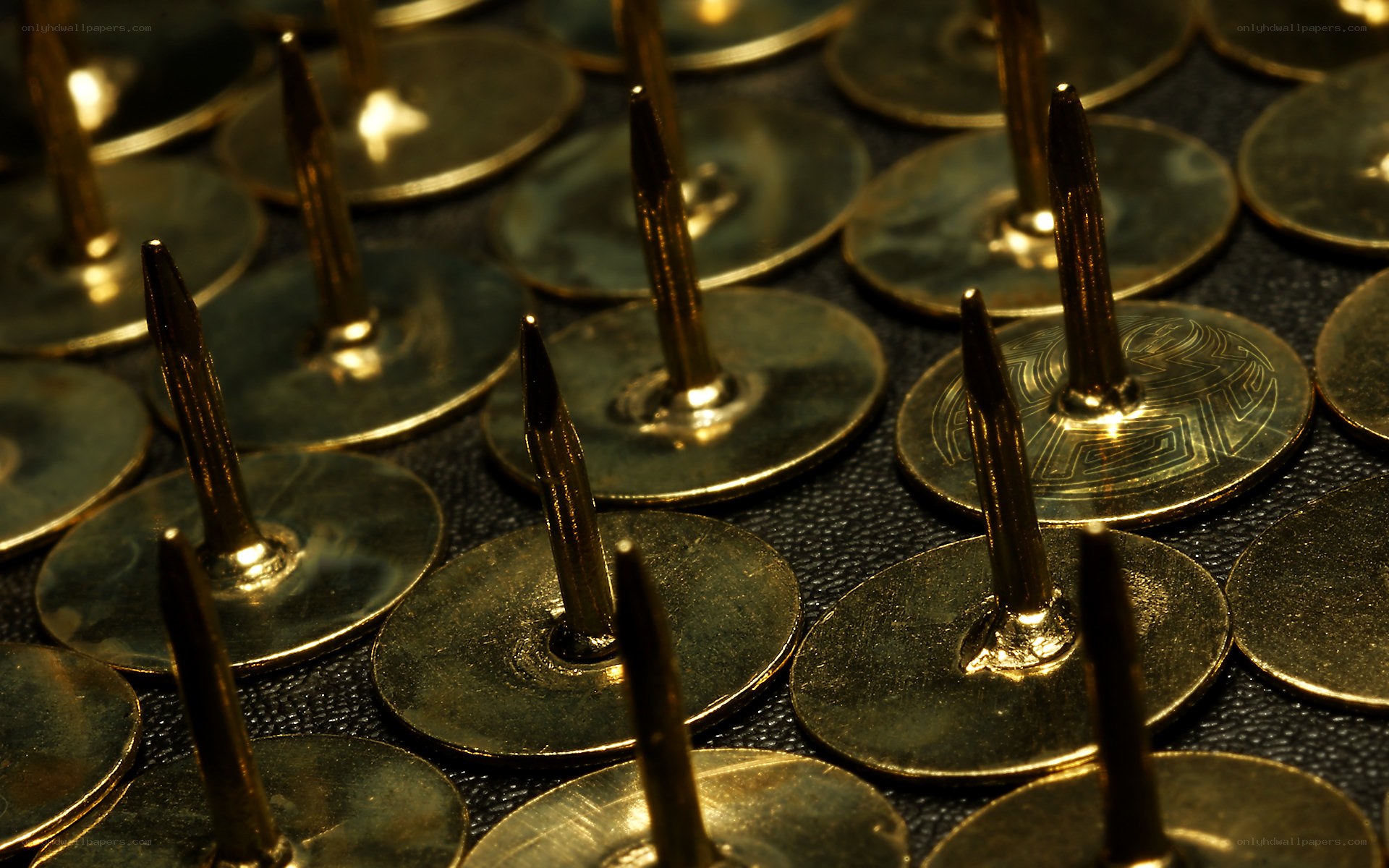 Close-up of brass thumbtacks