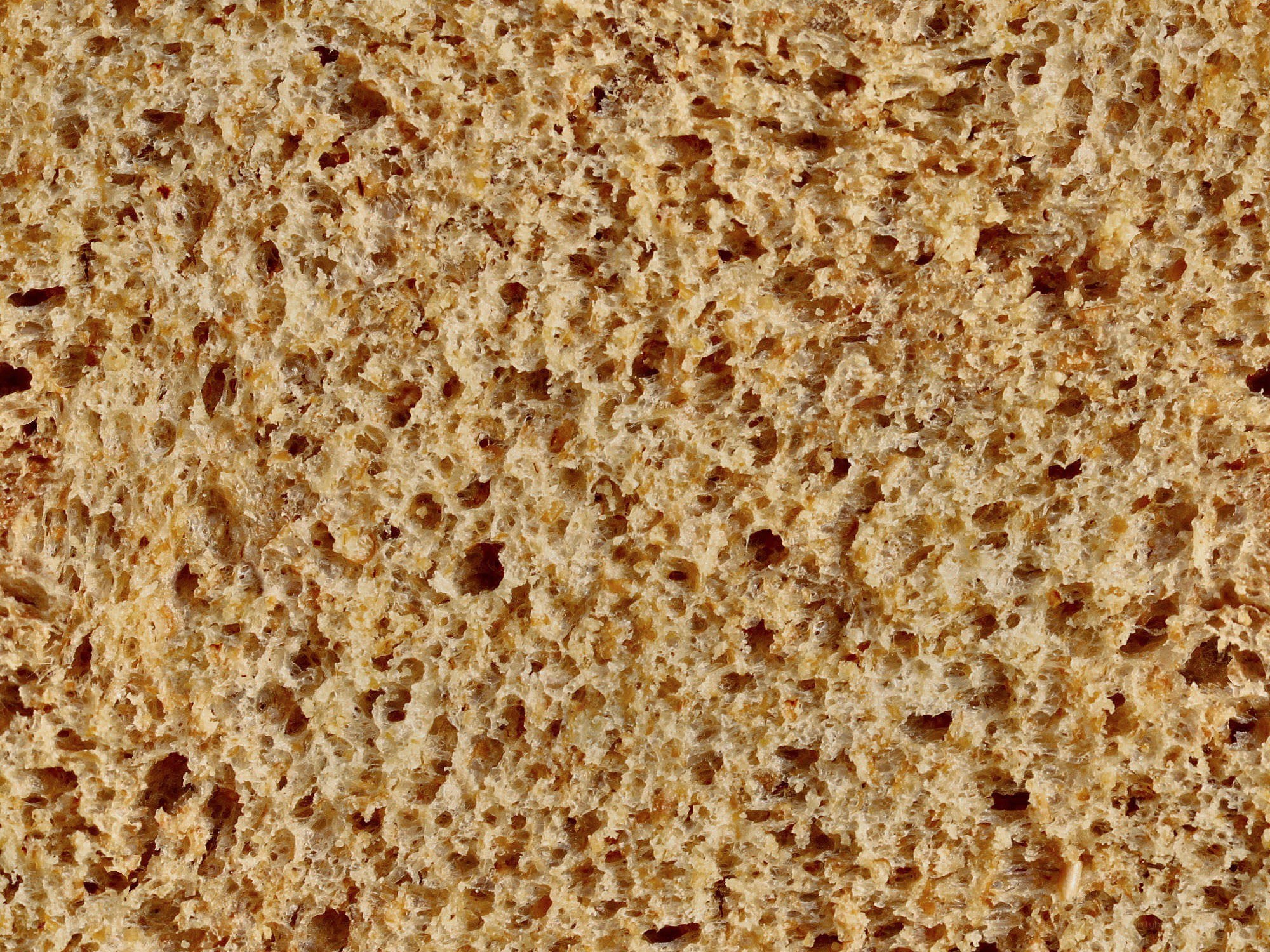 close-up of bread crumb
