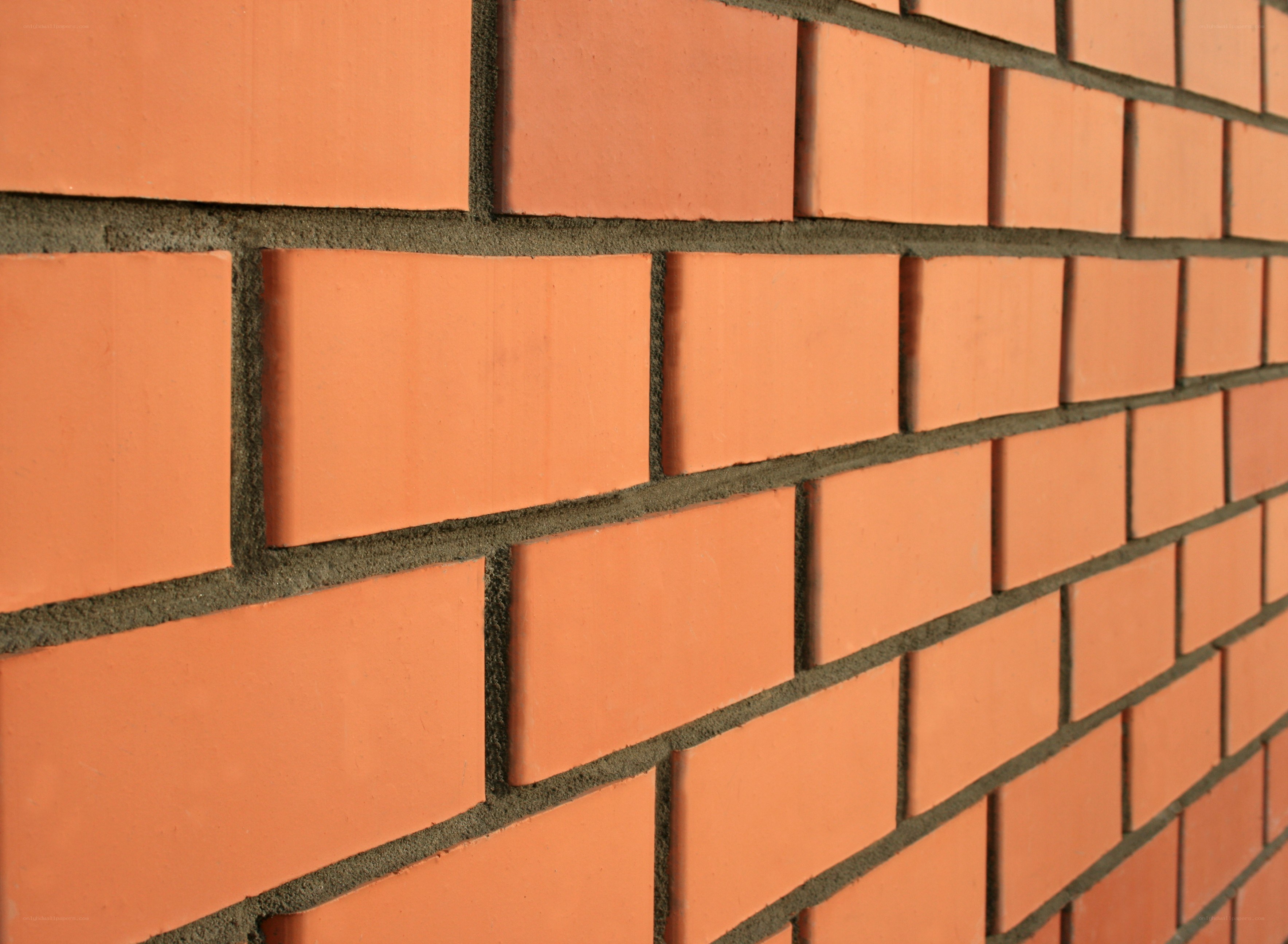 close-up of brick wall