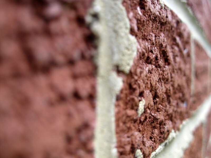 close-up of brick wall