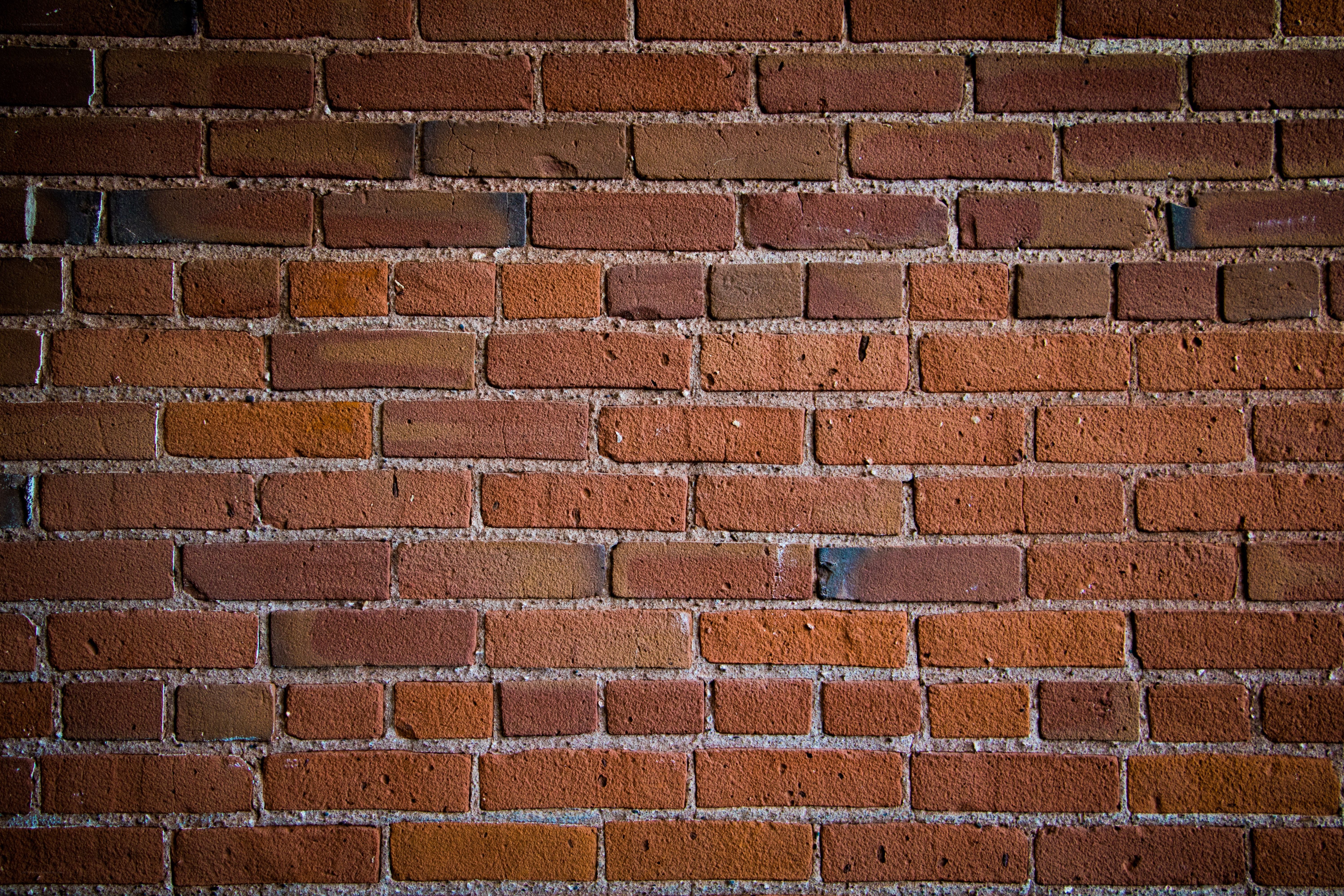 close-up of brick wall