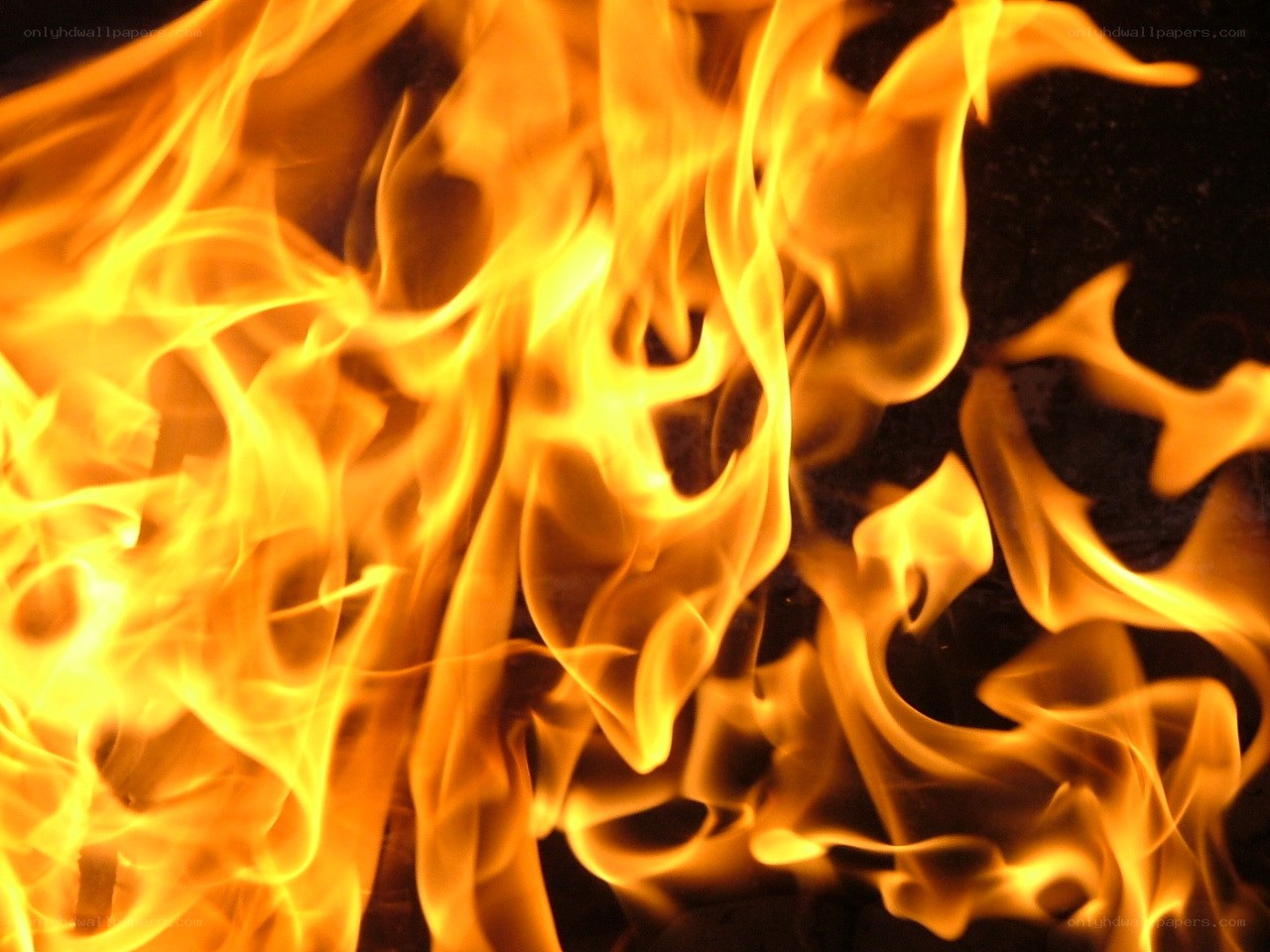 Close-up of bright flames