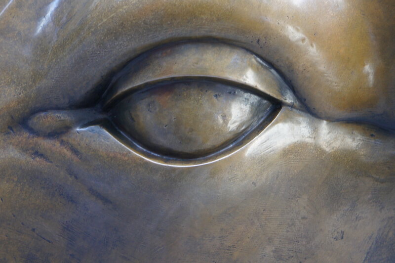 Close-up of Bronze Eye
