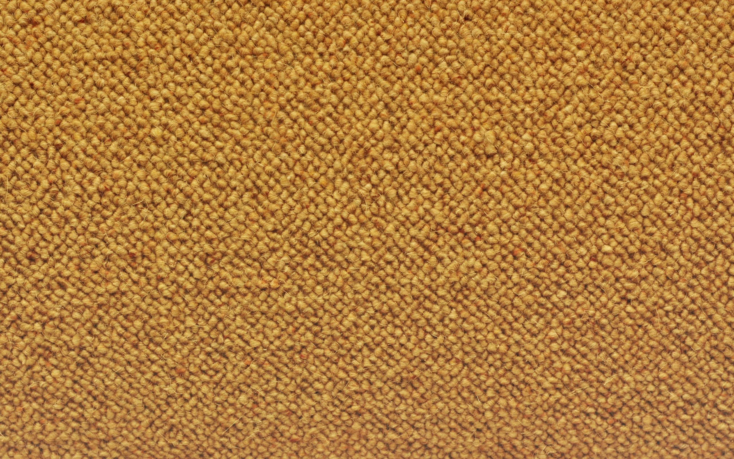 close-up of brown carpet texture