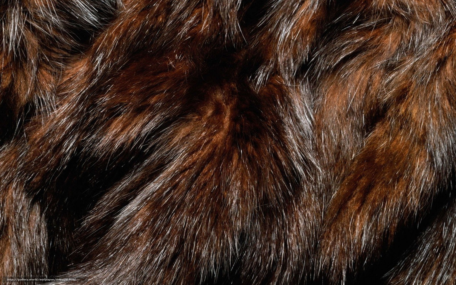 close-up of brown fur texture