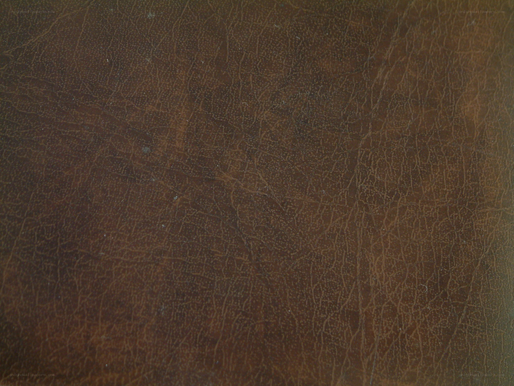 close-up of brown leather texture