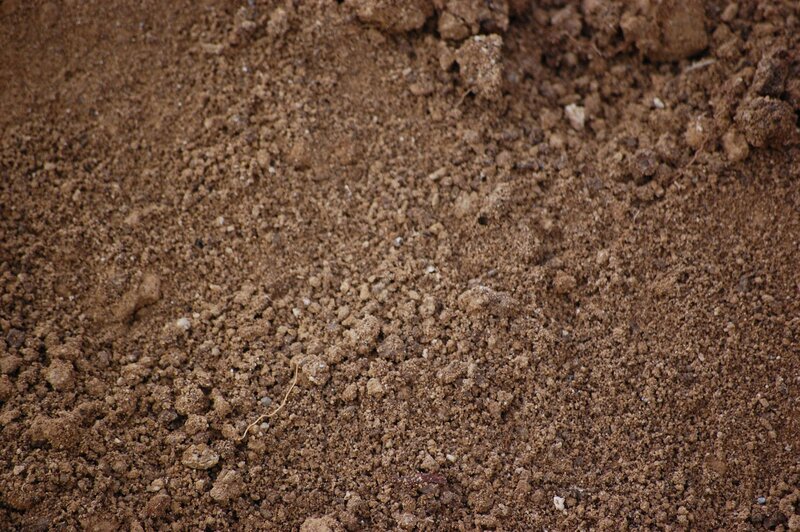 close-up of brown soil