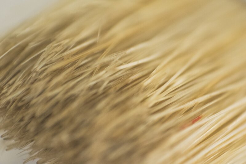 Close-up of Brush Bristles