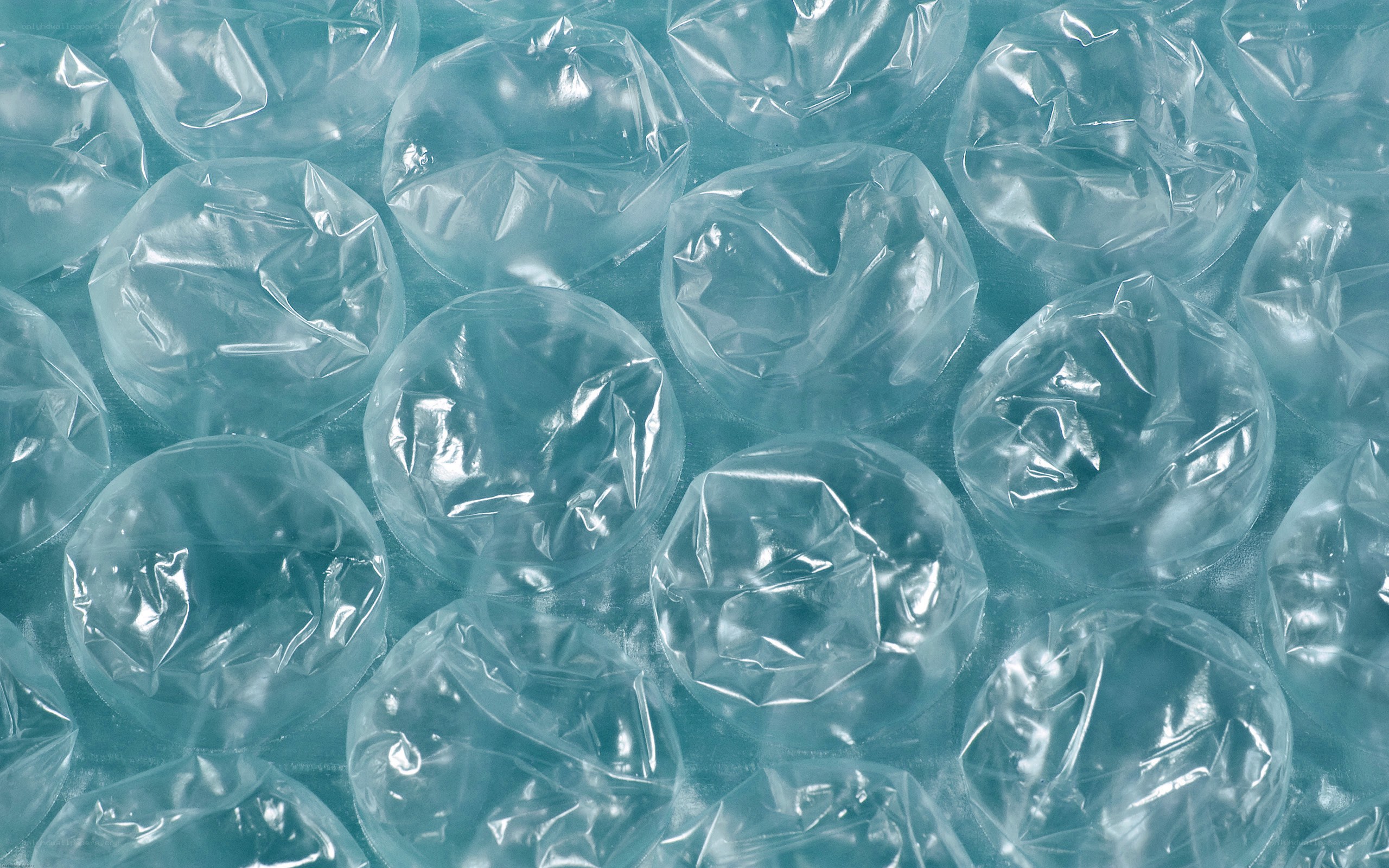 close-up of bubble wrap