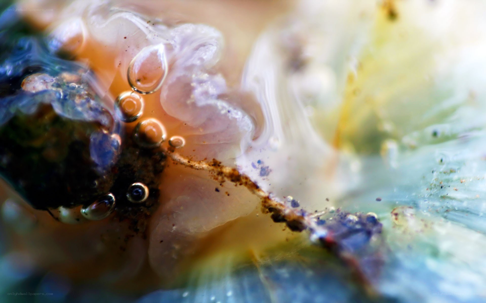 close-up of bubbles in liquid