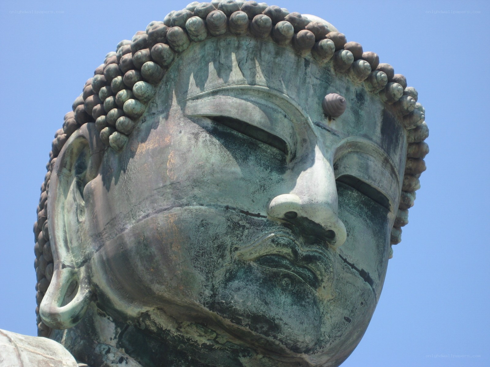 Close-up of Buddha statue head