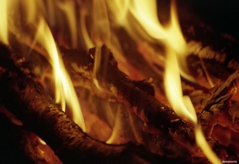 Close-up of burning fire