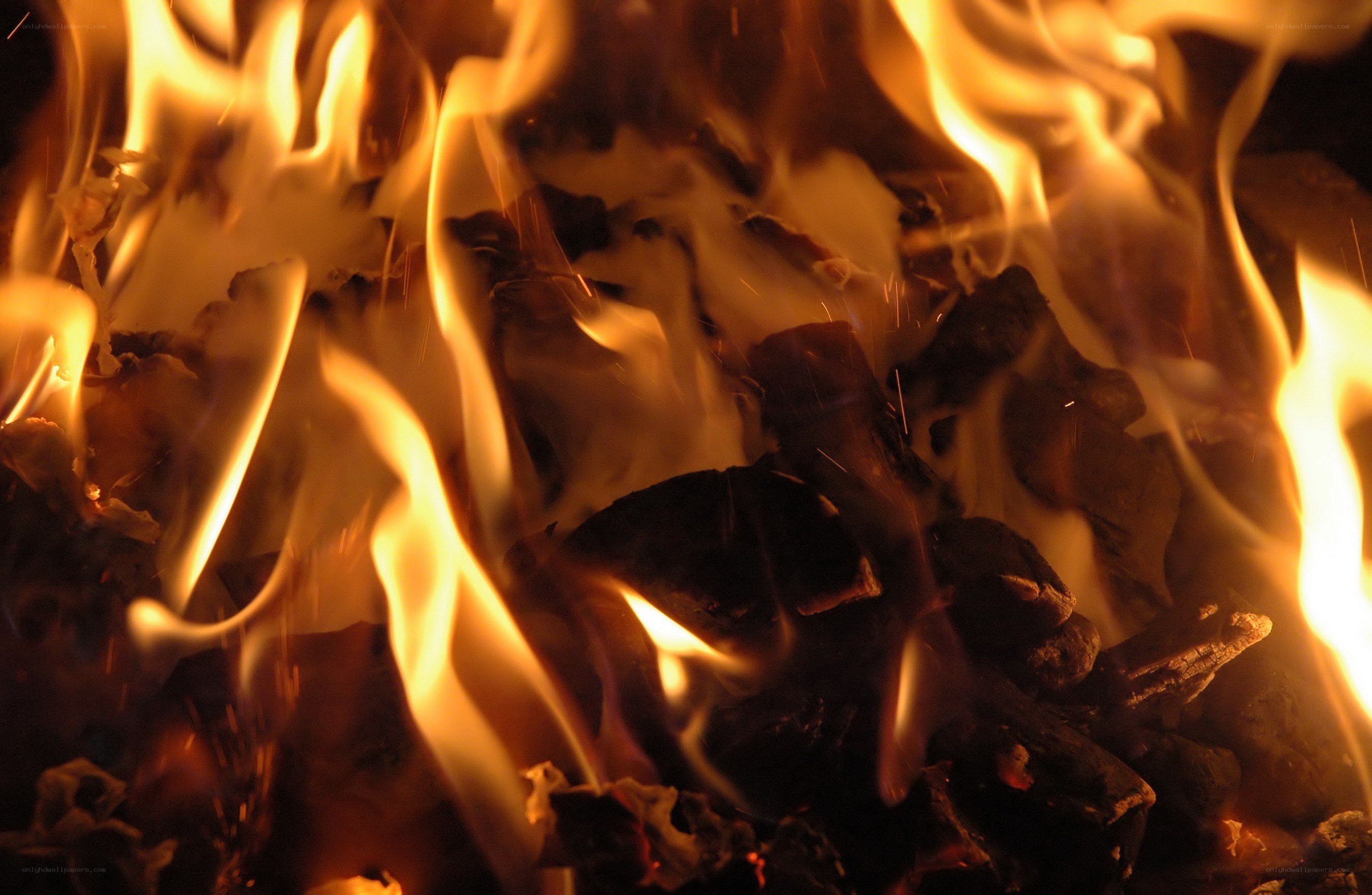 Close-up of burning fire