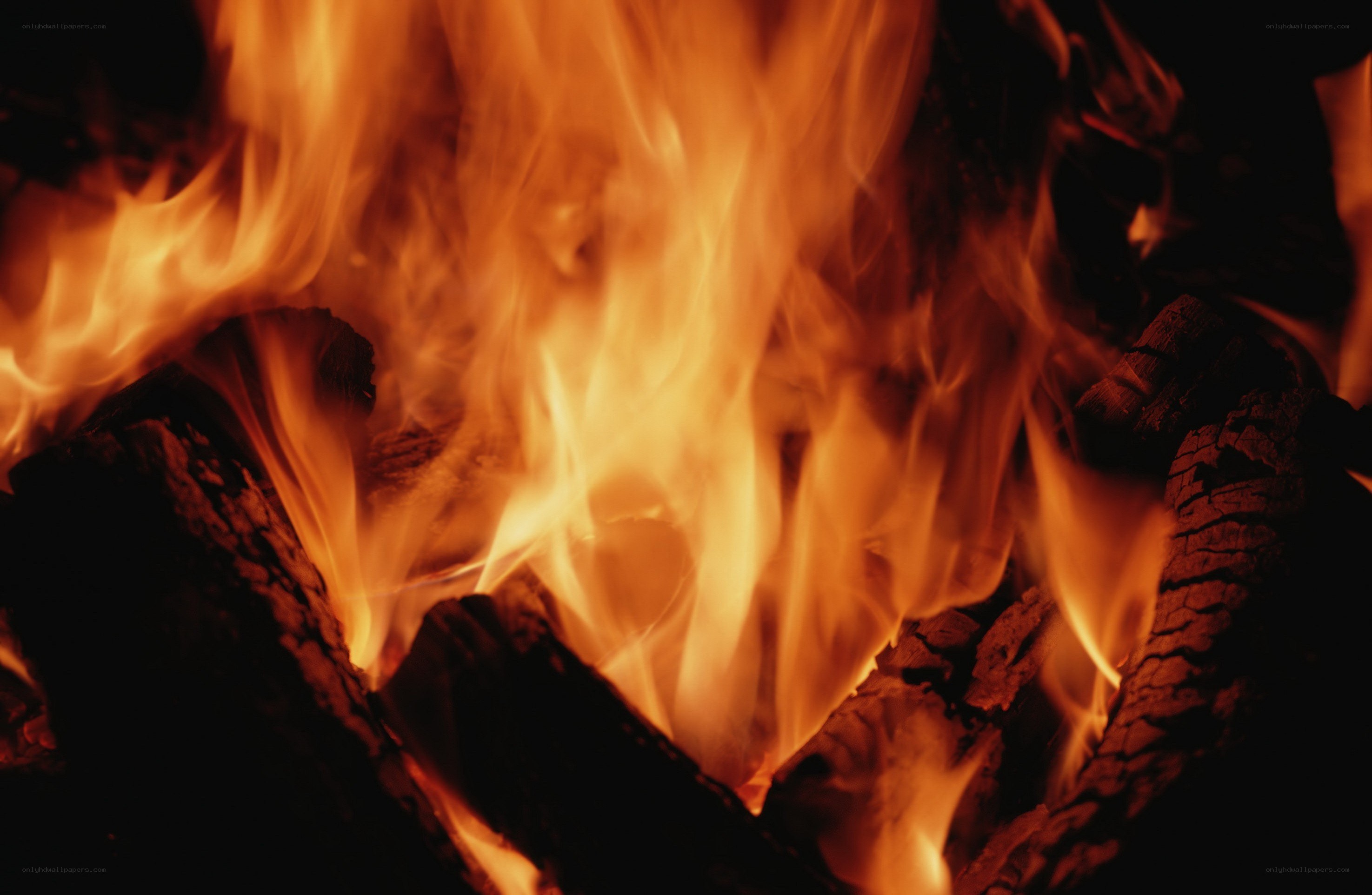 Close-up of burning fire