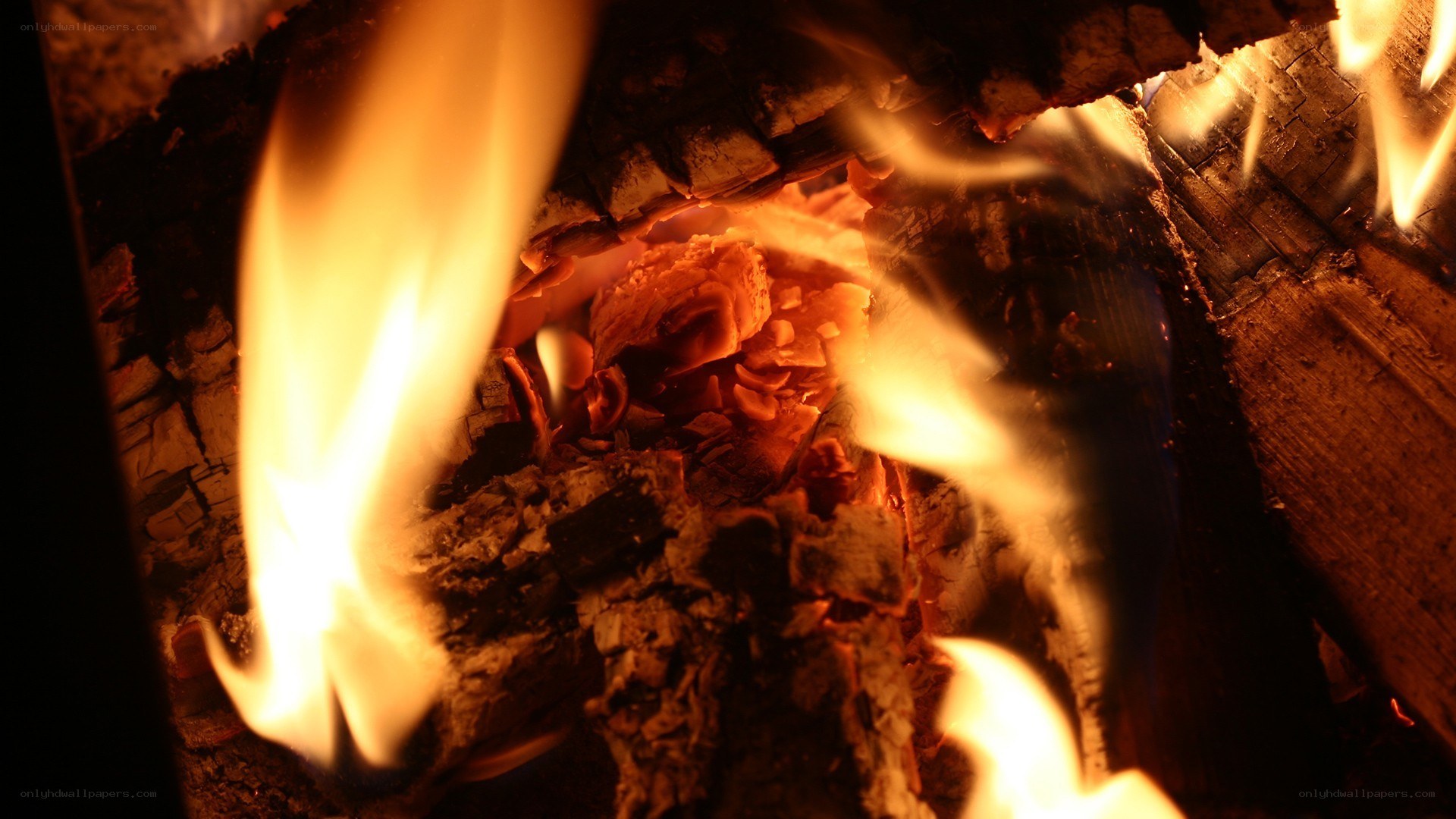 close-up of burning fire