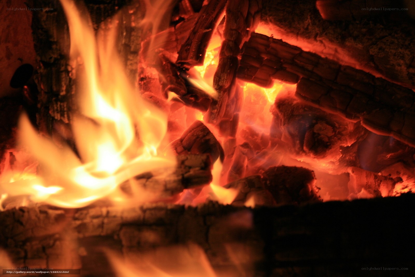 Close-up of burning fire
