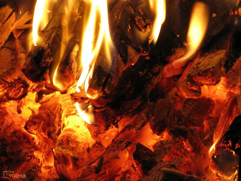 Close-up of burning firewood