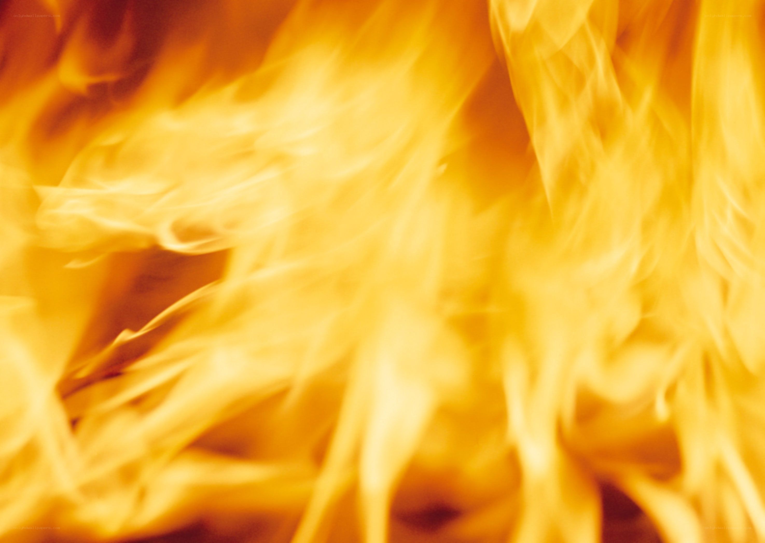 close-up of burning flames
