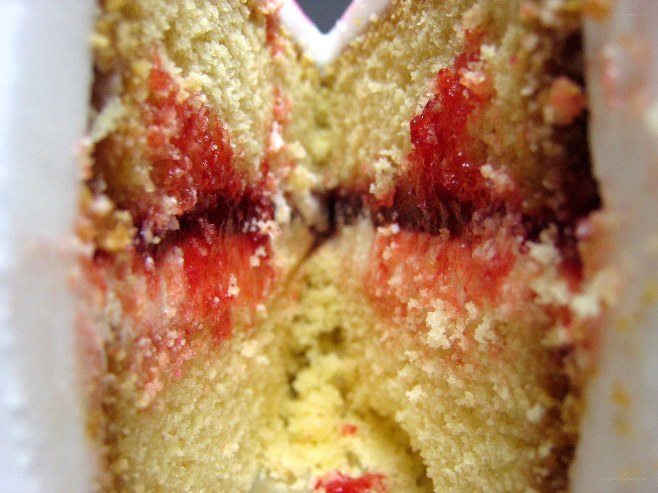 close-up of cake interior