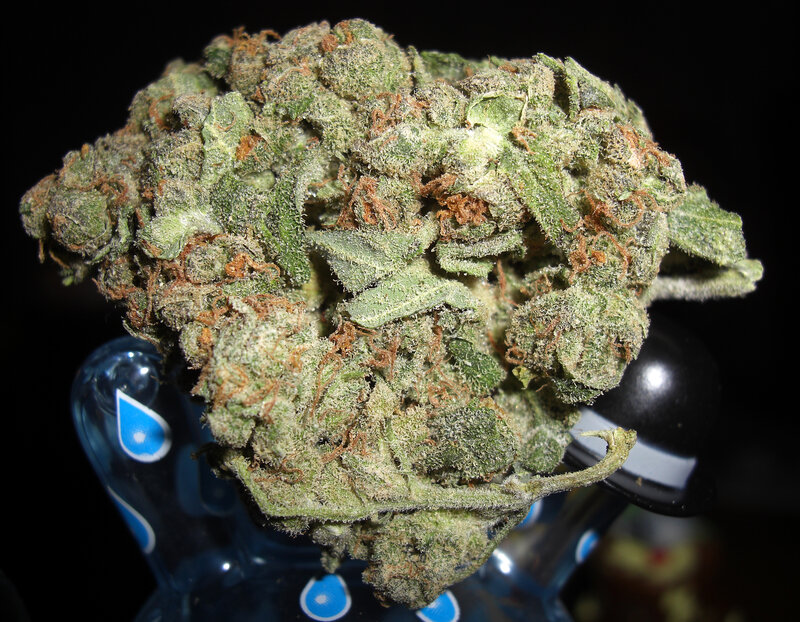 close-up of cannabis bud