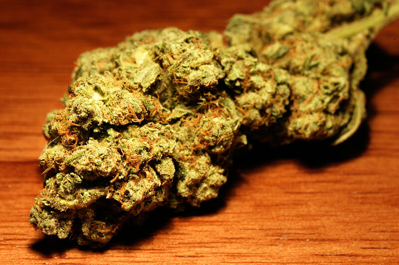 close-up of cannabis bud