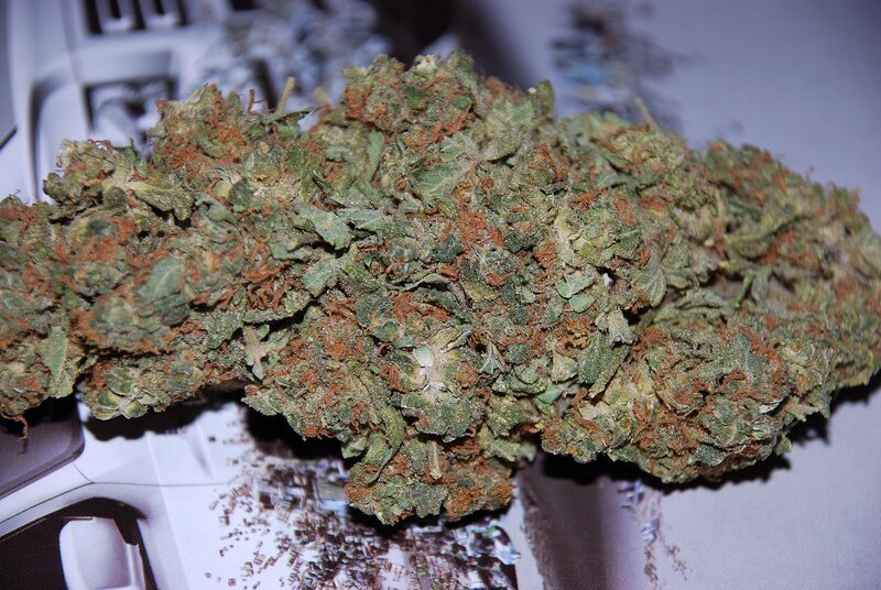 close-up of cannabis bud
