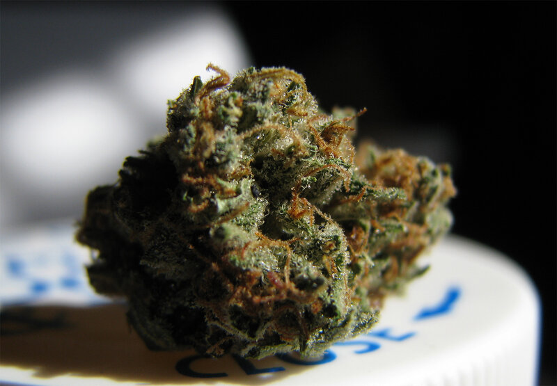 close-up of cannabis bud