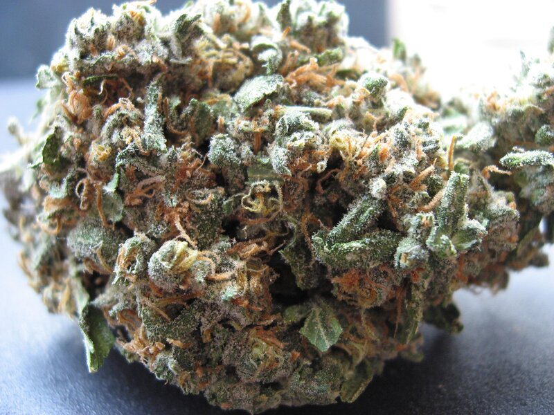 close-up of cannabis bud