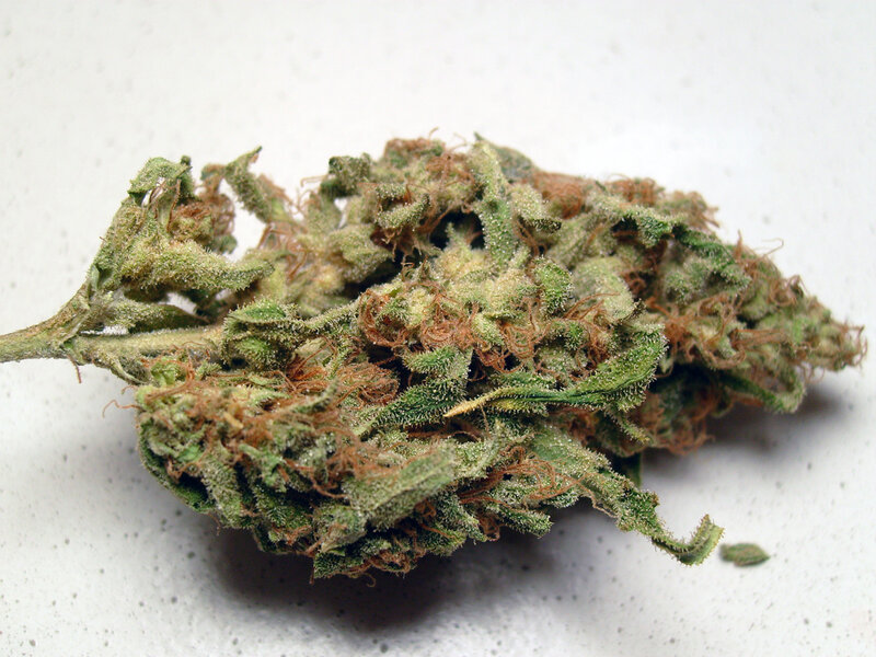 close-up of cannabis bud