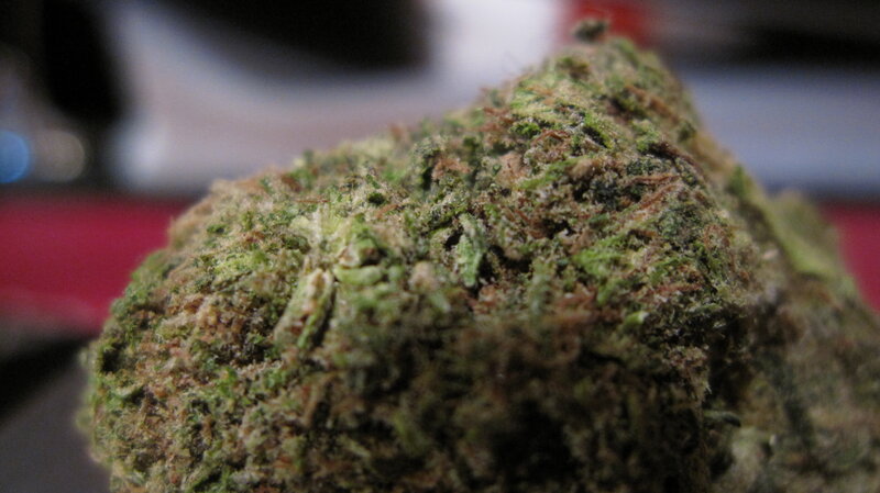 close-up of cannabis bud