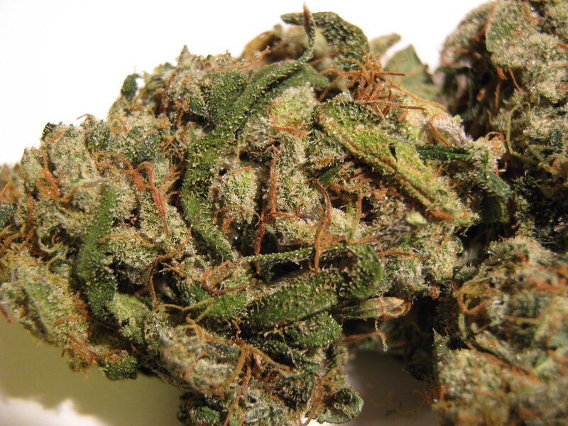 close-up of cannabis bud