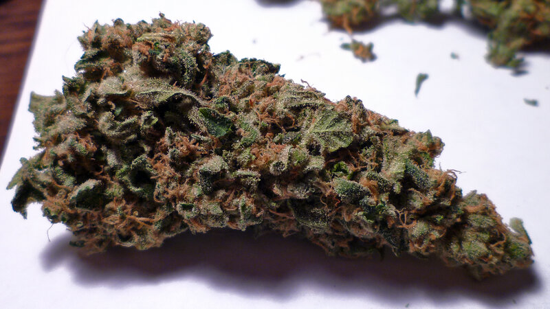 close-up of cannabis bud