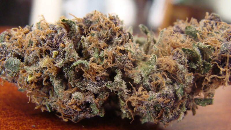 close-up of cannabis bud