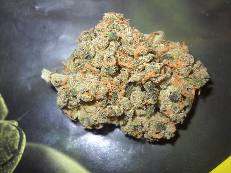 close-up of cannabis bud