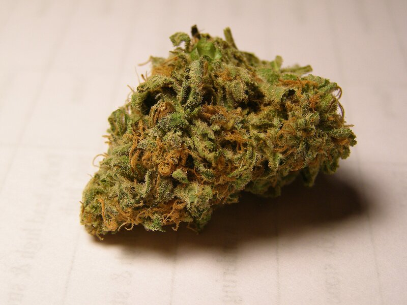 close-up of cannabis bud