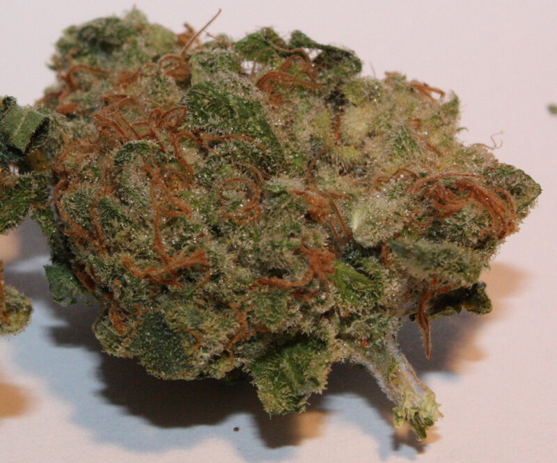 close-up of cannabis bud