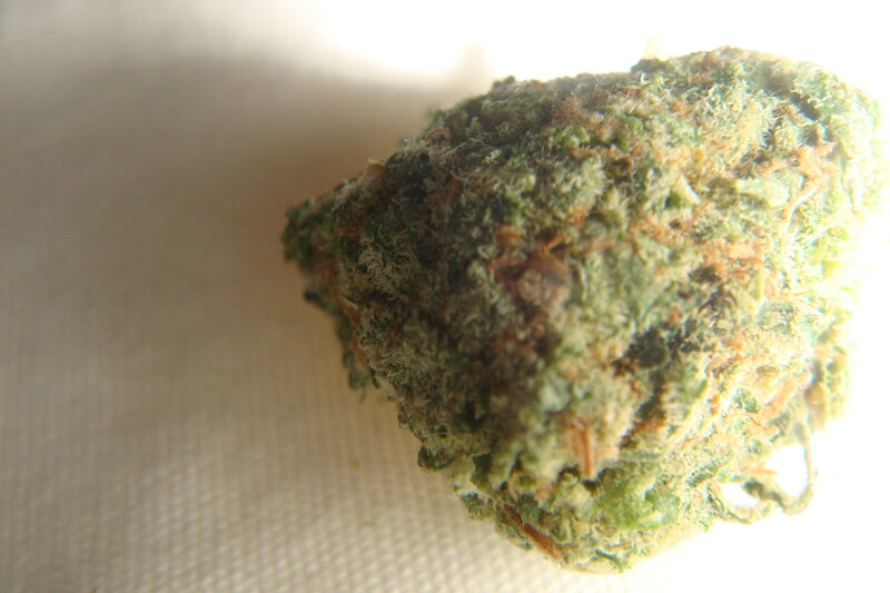 close-up of cannabis bud