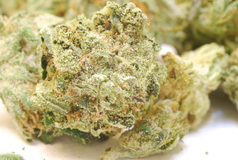 close-up of cannabis bud