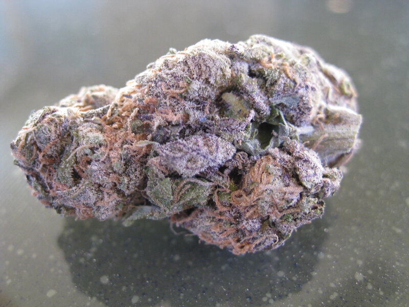 close-up of cannabis bud
